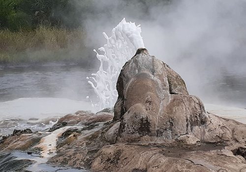 6 Days Sempaya Hotsprings & Primate Tracking Safari